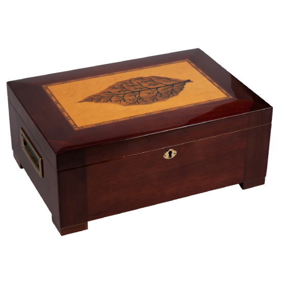 HUMIDOR "LEAF" DESIGN - 25 CAP. WITH DIVIDER