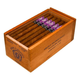HIRAM & SALOMON TRAVELING MAN SUMATRA LANCERO BOX OF 30
