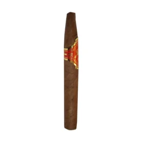 JULIANY COROJO CHISEL BUNDLE OF 10
