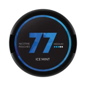 77 NICOTINE POUCHES 20MG OUTER OF 10's - ICE MINT
