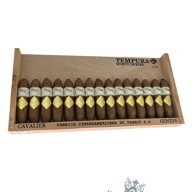 CAVALIER WHITE SERIES TEMPURA 4X60 BOX OF 15